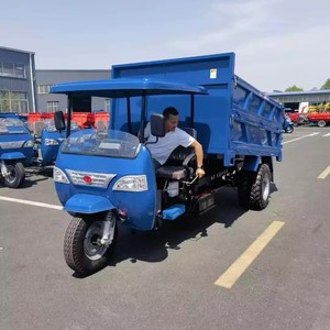 Tricycle de fret diesel pour l'Algérie, tricycle de fret à moteur, moto-tricycle de fret - Product Image 2