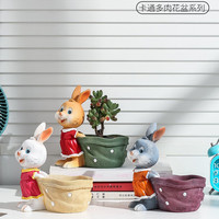 Pot de fleurs créatif de style coréen en forme de petit animal, lapin mignon, pour plantes succulentes, décoration de table pour plantes vertes