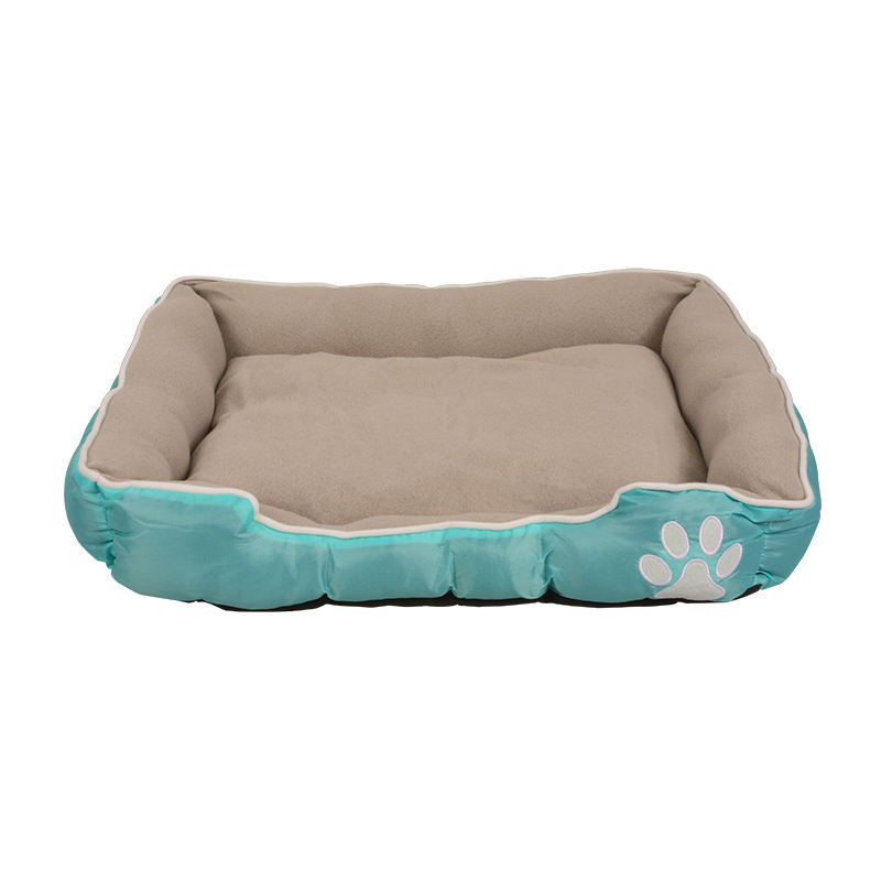 อุ้งเท้า-น้ำเงิน