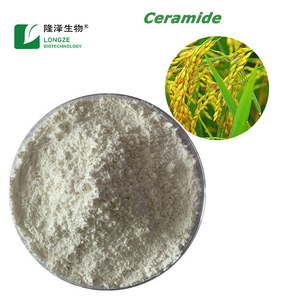 Grau cosmético 1% ceramida 3 pó planta extrato em recipiente plástico tambor embalagem - Product Image 3