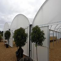 Lyine – serres agricoles en PVC, Tunnel Multispan pour la culture de fleurs et de légumes pour le jardin de la tour aéronautique
