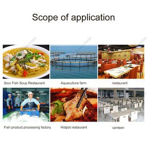 Professional Automatic Fish Processing Machine High Quality Fish Splitting Machine Butterfly Fish Processing Equipment - Product Image 6