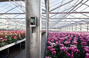 Hot-Sale Testo 175 H1 <b>Temperature</b> and Humidity Recorder <b>Data</b> <b>Logger</b> in Stock - Product Image 6