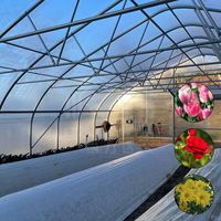 Serre tunnel agricole 6x12m à structure métallique gothique, serre polytunnel en polycarbonate pour fleurs