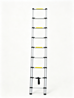 Échelle télescopique en aluminium certifiée EN131, échelle extensible pliable robuste et portable, pour usage domestique et industriel