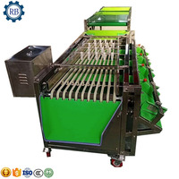 Hoge capaciteit fruit- en groentesorteerinstallatie voor blauwe bessen, tomaten, mango's, aardappelen, kiwi's, perziken en appels te koop