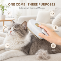 Brosse de toilettage pour animaux de compagnie en silicone auto-nettoyante, peigne pour poils de chien et de chat, vaporisateur de vapeur, massage, rechargeable, moderne, pour intérieur
