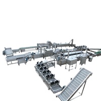 China Leverancier Automatische Natuurlijke Chips Making Machine Productielijn/Verse Aardappel Chips Productielijn