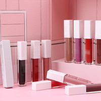 Nouveau design OEM Make up Waterproof Private Label Brillant à lèvres mat Rouge à lèvres liquide