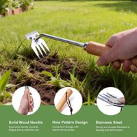 Outil de désherbage manuel en acier inoxydable pour jardin, extracteur de racines