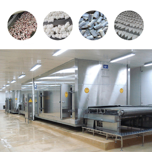 Línea de Congelación IQF para Espárragos y Vegetales, Máquina de Congelación Rápida para Vegetales de Hoja, Línea de Congelación de Brócoli - Product Image 6