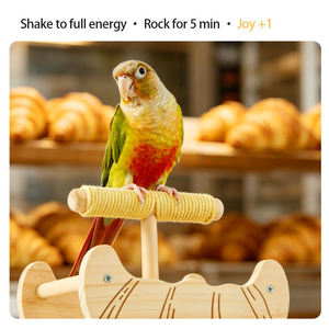 Perchoir rectangulaire en bois pour oiseaux, jouet multifonctionnel pour perroquets, à mâcher et à aiguiser les griffes, portable, pour l'entraînement et l'affûtage des griffes - Product Image 2