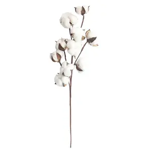 53 ס""מ באיכות מעולה 10 ראשים ענף כותנה טבעית פרחי כותנה מיובשת למסיבת חתונה בבית מלאכת יד דקורטיבית