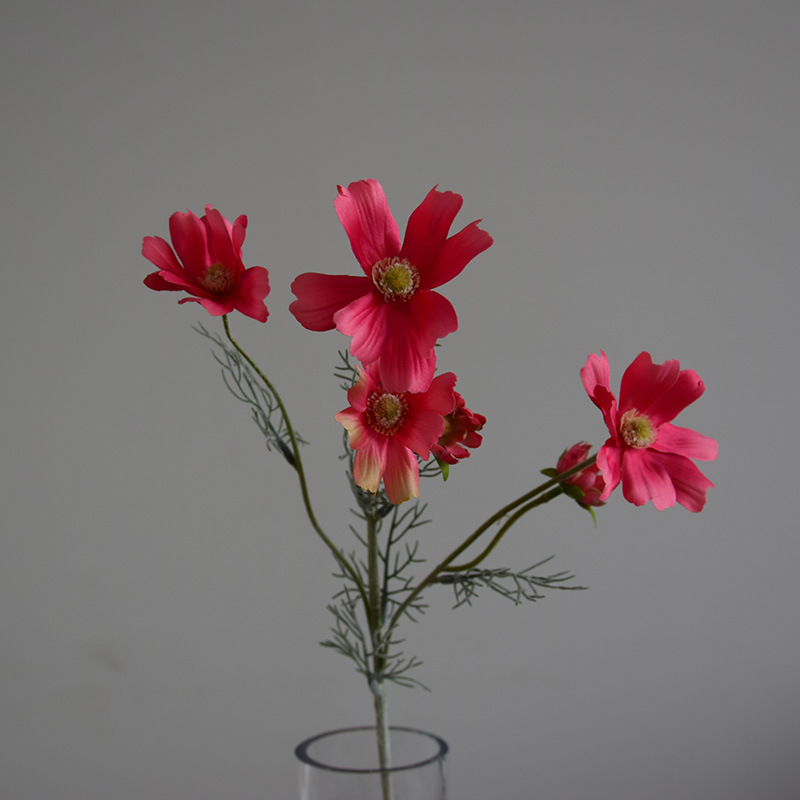 Rose Foncé