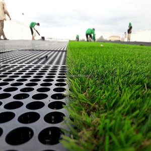 Cellules de drainage modulaires en HDPE pour jardins sur toits et parcs, avec feuille plastique et <span class=keywords><strong>plaque</strong></span> de drainage alvéolée - Product Image 3