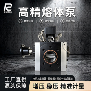 Bomba Dosificadora de Presión Estable de Acero para Herramientas de Alta Precisión y Resistencia al Desgaste Ruicheng Gear Melt Pump RC-M-2026 - Product Image 3