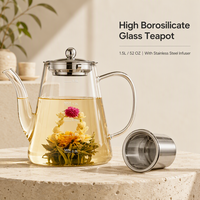 Théière en verre borosilicate transparent résistant à la chaleur, personnalisable en gros, pour boissons chaudes et froides