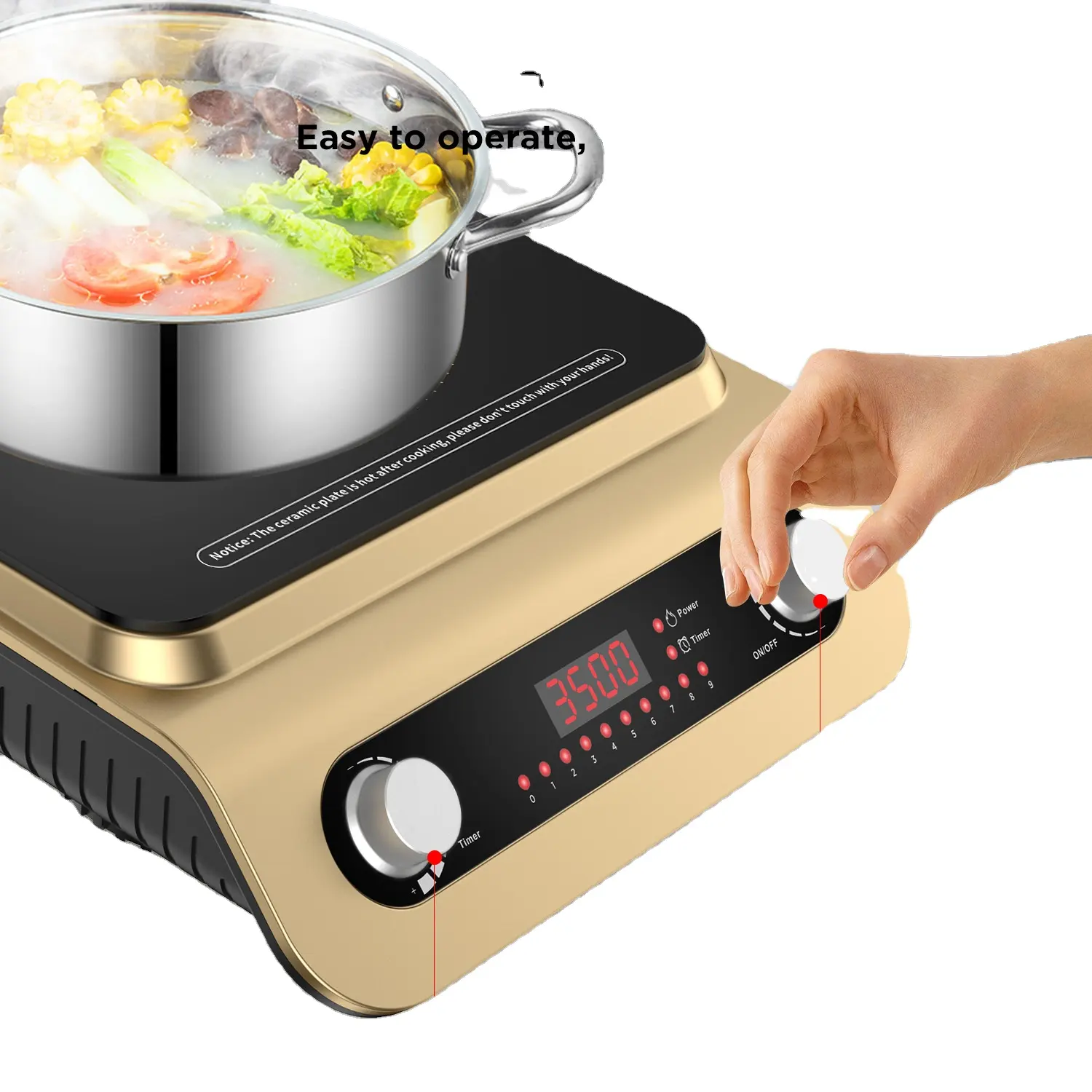 Infrared Electric Stove Supplier 2200W Portable Electric Stove 1 Burner Hot Plates Infrared Cooker