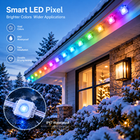 Module LED RGB 24V à pixels adressables UCS1903, éclairage LED étanche IP67, chaîne de pixels programmable pour signalétique et décoration de bâtiments