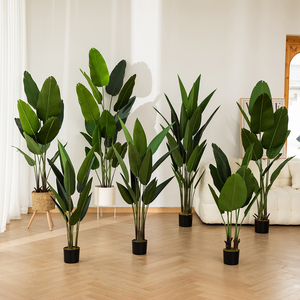 Vente en gros de bananes en pot, oiseaux de plantes de paradis, nouveau design décoratif pour la maison - Product Image 2