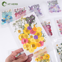Mini-Vakuumverpackte Blütenblätter Rahmen Gepresste Konservierte Natürliche Pflanzen Getrocknete Blumen für Nägel Kerzen Harz Epoxid Handyhülle