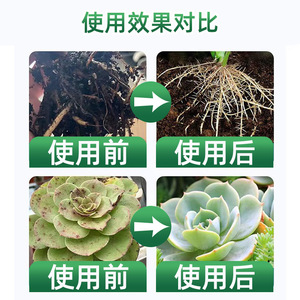 Engrais soluble dans l'eau Junliqing, 300 ml, promoteur de croissance des plantes pour fleurs, fruits et légumes - Product Image 5
