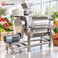 Mango sap productielijn commercieel gebruik fruit puree sapcentrifuge machine lage onderhoudskosten OEM aangepaste service