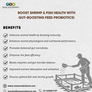 Alimento Probiótico para Peces para un Equilibrio Microbiano y una Salud Óptima - Product Image 1