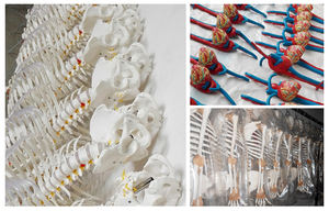 Modelo Anatômico Educacional da Cabeça Humana com Face e Cérvix e Distribuição da Artéria Carótida Externa para Ciências Médicas - Product Image 4