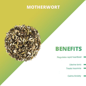 Grosir bubuk ekstrak <span class=keywords><strong>Leonuri</strong></span> larut air bubuk ekstrak Motherwort bubuk ekstrak Motherwort bubuk ekstrak 4:1 20:1 - Product Image 5