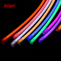 Projet de fontaine de piscine étanche à l'eau LED Neon Flex DMX SPI Adressable WS2811 Smart Pixel RGBIC LED 10*10mm