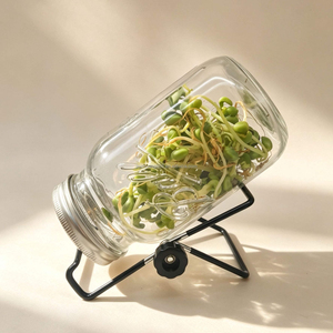 Soporte <span class=keywords><strong>de</strong></span> germinación para tarros <span class=keywords><strong>de</strong></span> cultivo, cubierta <span class=keywords><strong>de</strong></span> malla <span class=keywords><strong>de</strong></span> acero inoxidable, botella <span class=keywords><strong>de</strong></span> vidrio tipo Mason para cultivo <span class=keywords><strong>de</strong></span> tejidos vegetales - Product Image 6