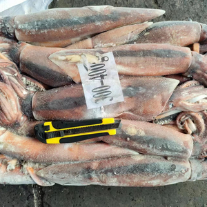 Ken010 100-400g + Chất lượng cao New Arrival illex mực đông lạnh mực - Product Image 1