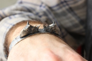 Men Rhino <b>Silver</b> Cuff <b>Bracelet</b> - Thick Sterling <b>Silver</b> Band, Hand-<b>Engraved</b> and Handmade, Unisex Vintage Embroidered <b>Bracelet</b> - Product Image 6