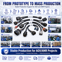 Cable de Carga de Batería AGV de Alta Corriente Personalizado con Conector para Arnés de Cables de Robot Móvil de Almacén AMR