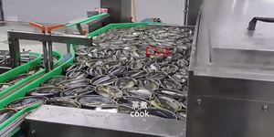 Machine de transformation de la viande et du poisson <span class=keywords><strong>en</strong></span> conserve automatique pour l'emballage <span class=keywords><strong>en</strong></span> carton, ligne de production de sardines, de thon et de bar <span class=keywords><strong>en</strong></span> conserve - Product Image 5