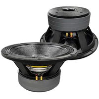 Grande puissance spécialité 18 pouces extérieur DJ haut-parleur 2000W 6 pouces bobine vocale 3 couches aimant scène haut-parleur LF Ferrite Subwoofer