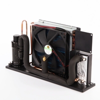 HVAC pièces solaire dc 24v 600w petit onduleur de réfrigération unité de refroidissement liquide pour PC CPU refroidissement