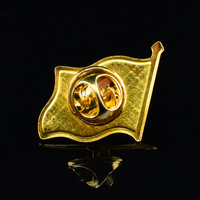 Broches unisexes en alliage plaqué, badges flottants, commémoratifs et multifonctionnels, provenant du monde entier, populaires, en gros