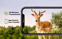 Caméras de surveillance de sentier 4G avec carte SIM 36MP, caméra de chasse en plein air, détection de mouvement PIR, sécurité sans fil, caméra de faune Tuya