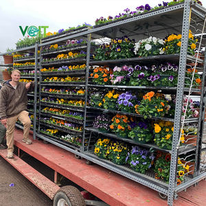Langdurige Transport Kas Zink Gecoate Metalen Plank Bloemenkwekerij Trolley - Product Image 5