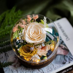 Rose éternelle enchantée, rose éternelle infinie, rose éternelle préservée dans un dôme en verre avec lumière LED - Product Image 2