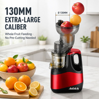 Extracteur de jus lent domestique avec goulotte d'alimentation large de 130 mm, moteur DC 250W, rendement élevé de 75% en jus, couvercle en maille d'acier inoxydable, facile à nettoyer