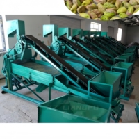Machine de nettoyage et d'écaillage des pignons de pin en promotion, machine de concassage et d'écaillage des pistaches, machine à éplucher les pignons de pin