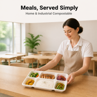 Assiette à 6 compartiments 100 % compostable en bagasse de canne à sucre, plateau repas jetable biodégradable pour cantine scolaire et restauration