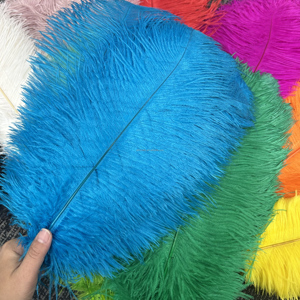 Plumas de Avestruz Naturales Teñidas al por Mayor de 40-45 cm, Multicolores, para Centros de Mesa de Boda, Disfraces de Carnaval y Decoración - Product Image 5