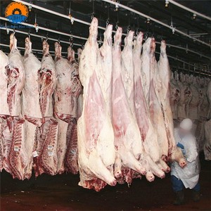 Ligne d'abattage de bovins halal clé en main, équipement de transformation de viande pour abattoir, machine d'abattage, usine chinoise - Product Image 6