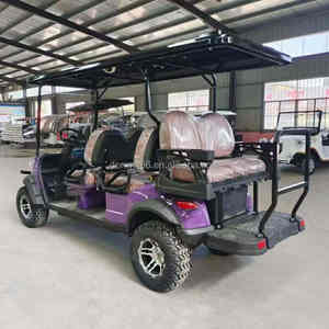 Golf Cart Elettrico a 2-4 Posti con Batteria al Litio, Volante e Mini Porta Sacche da Golf in Offerta - Product Image 4