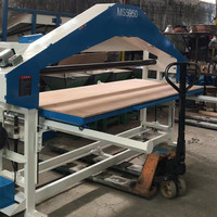 Machine à courroie longue pour feuilles métalliques ou Structures soudées, meulage et finition de soudure