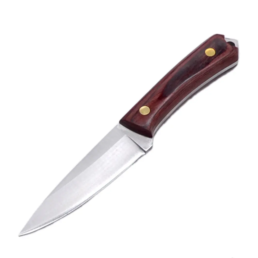 Nuovo coltello portatile in acciaio inossidabile manico in legno Picnic all'aperto BBQ coltello multifunzionale per carne di frutta